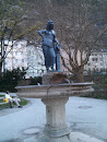 Brunnen at Salzburg