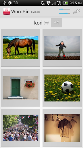 Learn Polish with WordPic