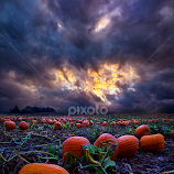 Halloween is Near by Phil Koch -  