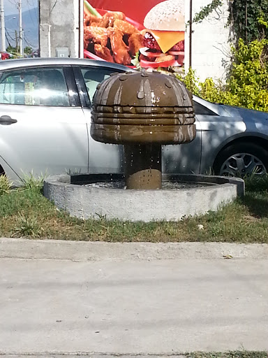 Burger Fountain