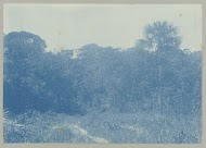 Brownsweg verlaat de Patricksavanna