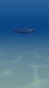 Ocean 3D Screenshots 7