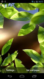 Fresh Leaves - screenshot thumbnail