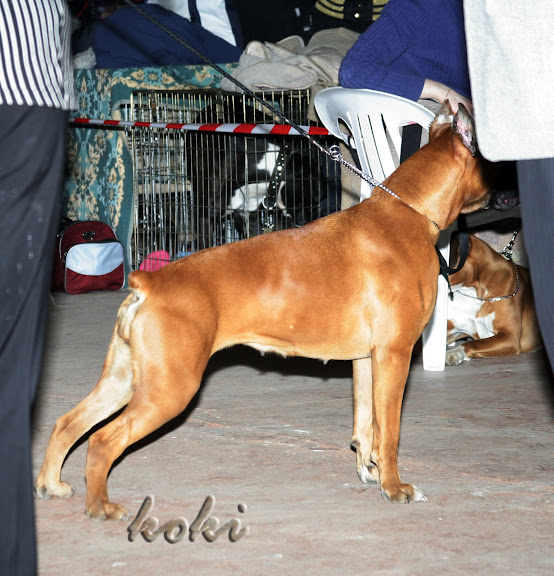 http://lh6.ggpht.com/koki.villi/SA0HBYZnp2I/AAAAAAAAJEU/3VrOA0AqJQA/%D0%BC%D0%BE%D0%BD%D0%BE%20%D0%B2%D0%B0%D0%BD%D0%B6%D0%B0%201%20%2832%29.jpg?imgmax=576