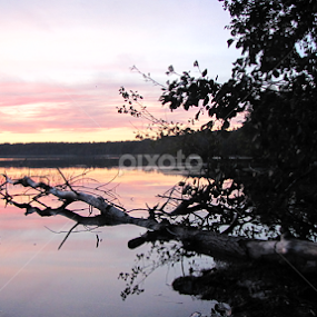 sunset by Darius Morgendorfer - Landscapes Sunsets & Sunrises