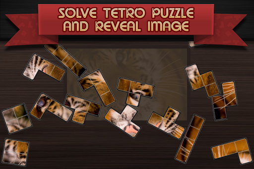 免費下載休閒APP|Tetro Puzzle app開箱文|APP開箱王