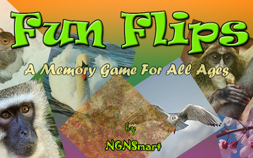 Fun Flips - The Memory Game Screenshots 5