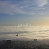 Haifa waking up by Renée Politzer Nass -  