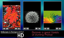 Wallpaper & Background Fun HD APK