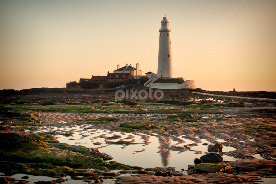 St Mary's Lighthouse by Ray Pritchard - Landscapes Beaches