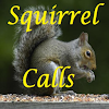 Squirrel Calls icon