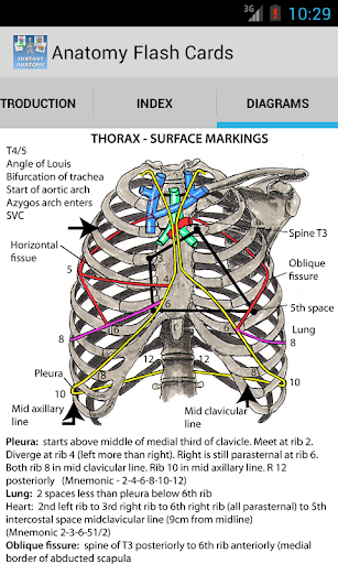 【免費醫療App】Anatomy Flash Cards-APP點子