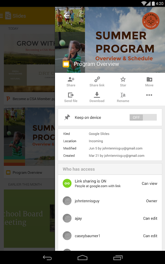    Google Slides- screenshot  