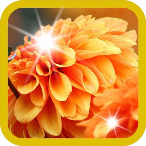 Autumn Flowers live wallpaper 個人化 App LOGO-APP開箱王