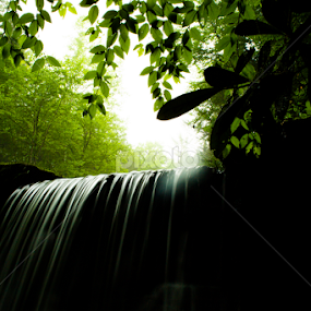 In the Shadow of Queens Run Falls by Isaac Golding - Landscapes Waterscapes