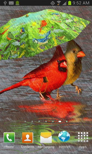 CARDINALS IN THE RAIN LWP