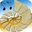 Melody Shells logo