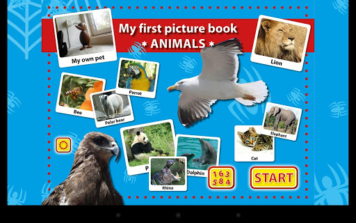 My First Picture Book Animals