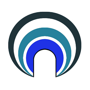 Touch Voice + logo