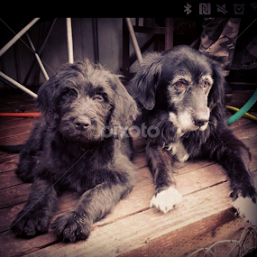 by Alannah Melton - Uncategorized All Uncategorized