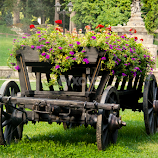 the cart by Mihai  Costea -  