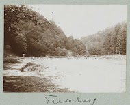 Riviergezicht met op de achtergrond een bebosd berglandschap.