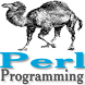 Perl Interview questions