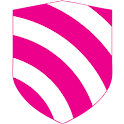Mobile Security