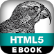 HTML5 Canvas