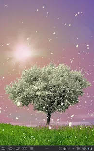 Spring Trees Live Wallpaper - screenshot thumbnail