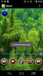 Nature Sounds To Relax Sleep poster 5