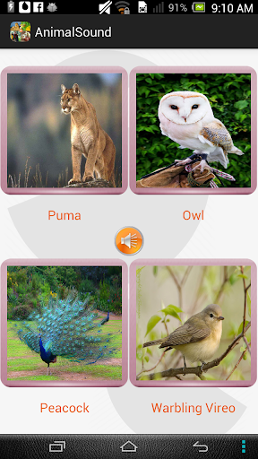 免費下載教育APP|Animal Sound Quiz app開箱文|APP開箱王