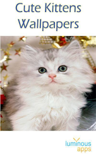 Cute Kittens Wallpapers Screenshots 0