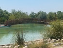 Puente Con Fuente
