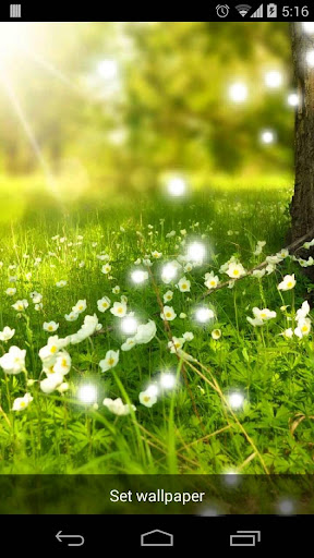 Spring Flowers Live Wallpaper