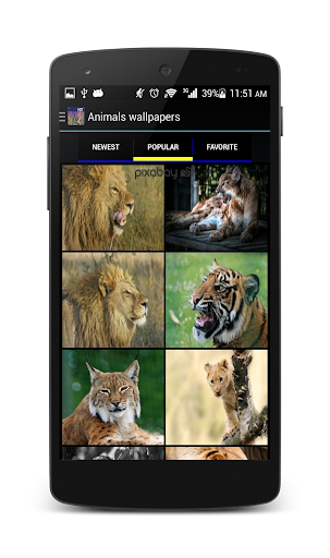 免費下載攝影APP|Ufone Animal Wallpapers app開箱文|APP開箱王