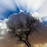 The Blessing by Alan Rossnagel -  