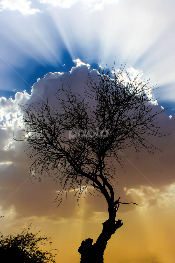 The Blessing by Alan Rossnagel - Landscapes Cloud Formations