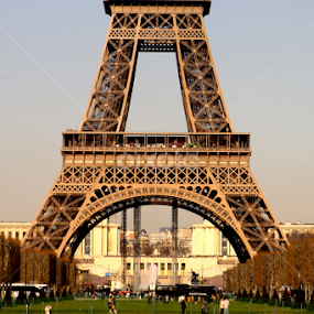 Eiffel Tower by Sarah Brouckaert - Buildings & Architecture Statues & Monuments