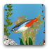 aniPet Freshwater Live WP2.4.9
