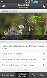 Birds of Korea Pro poster 5