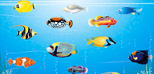 Aquarium Maker APK