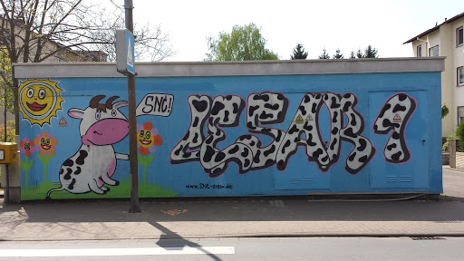 SNC Graffiti