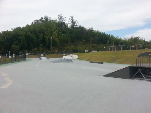 田辺公園スケートパーク