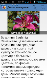 How to install Домашние цветы 1.0 mod apk for laptop