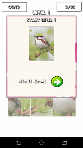 免費下載休閒APP|Cute Birds Puzzle Game app開箱文|APP開箱王