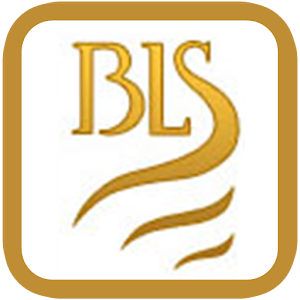 BLS Accident Assistant 5.0