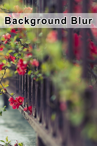 【免費娛樂App】Photo Editor Background Blur-APP點子