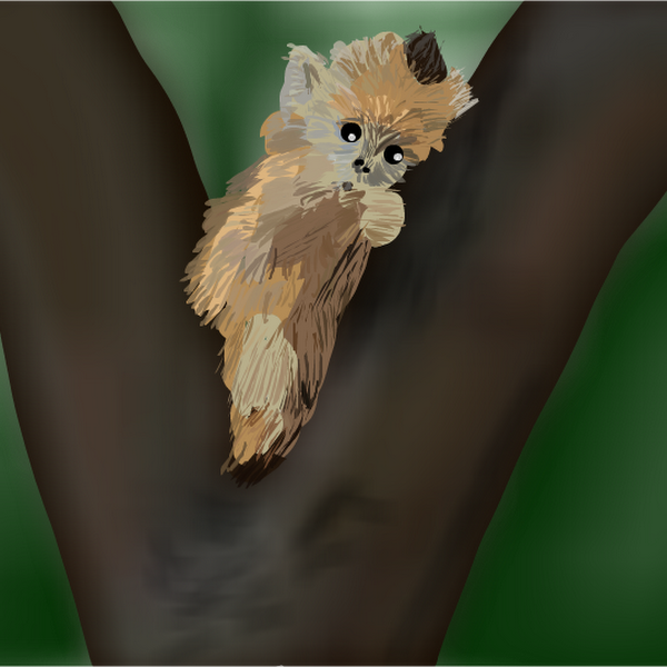 tiny monkey » drawings » SketchPort