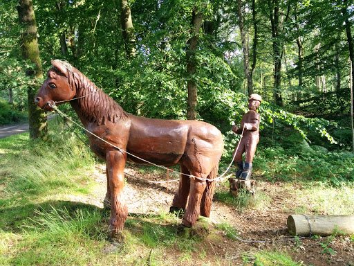 Horse in the Forest